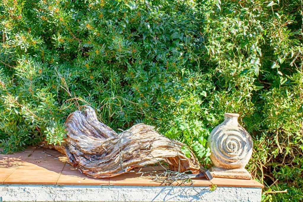 Villa Cecylia اس كنوتلس المظهر الخارجي الصورة